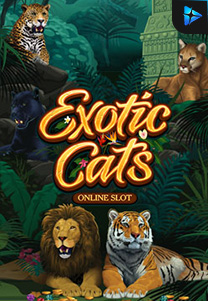 Bocoran RTP exoticcats di TOTOLOKA88 Generator RTP SLOT 4D Terlengkap